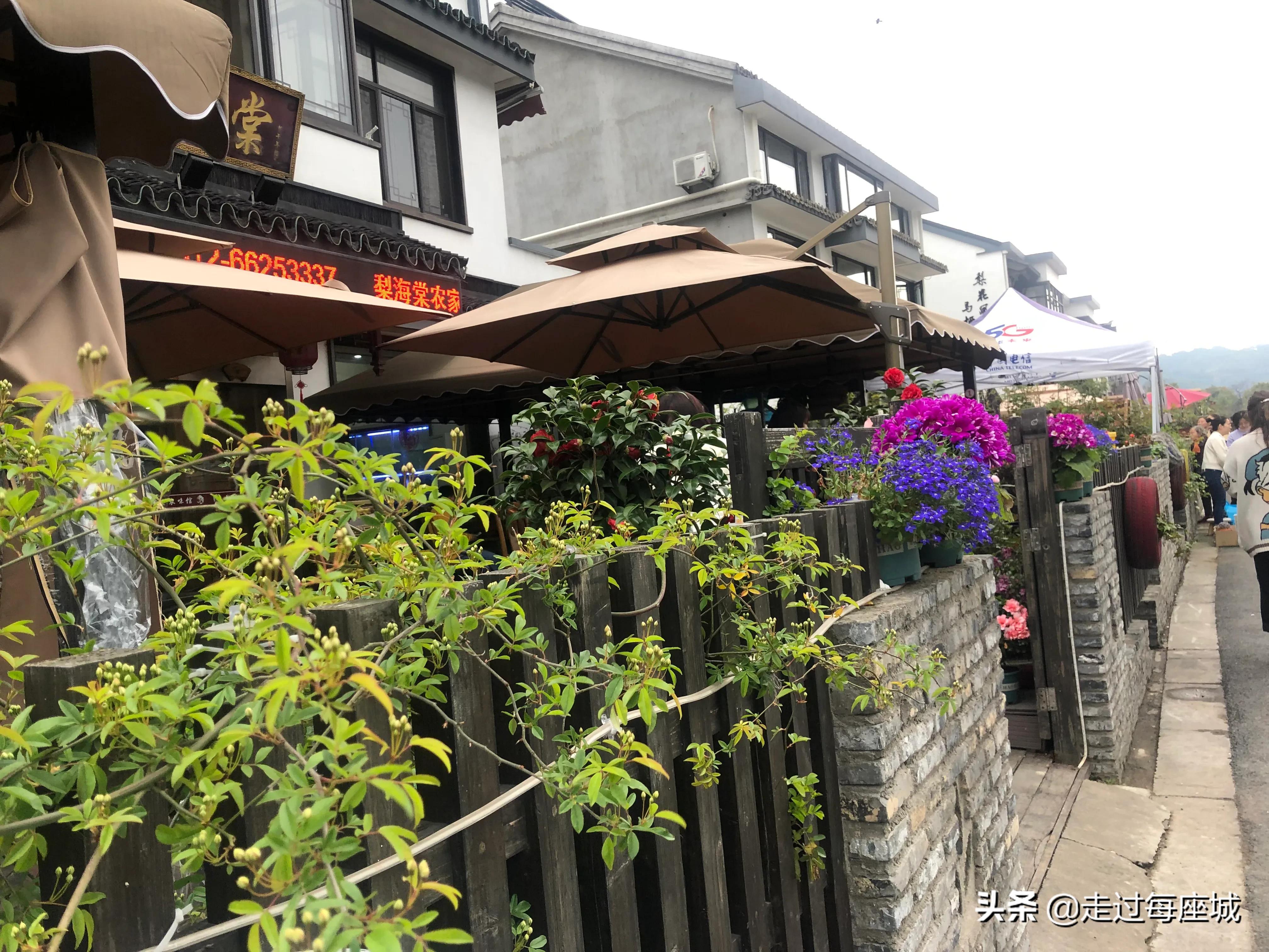 苏州小众却很棒的原生态的古镇,苏州必去的古村