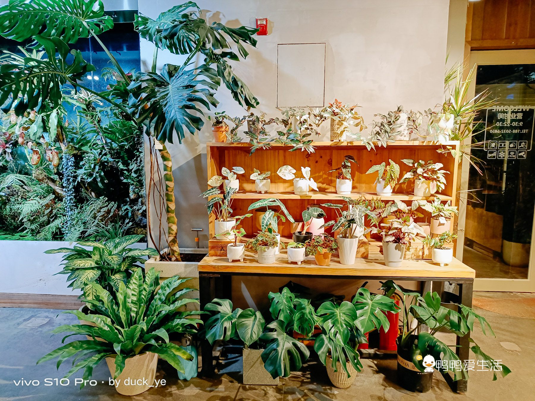 厦门华美空间藏一个绝美拍照地，误入仙境，可吃饭可拍照可看书