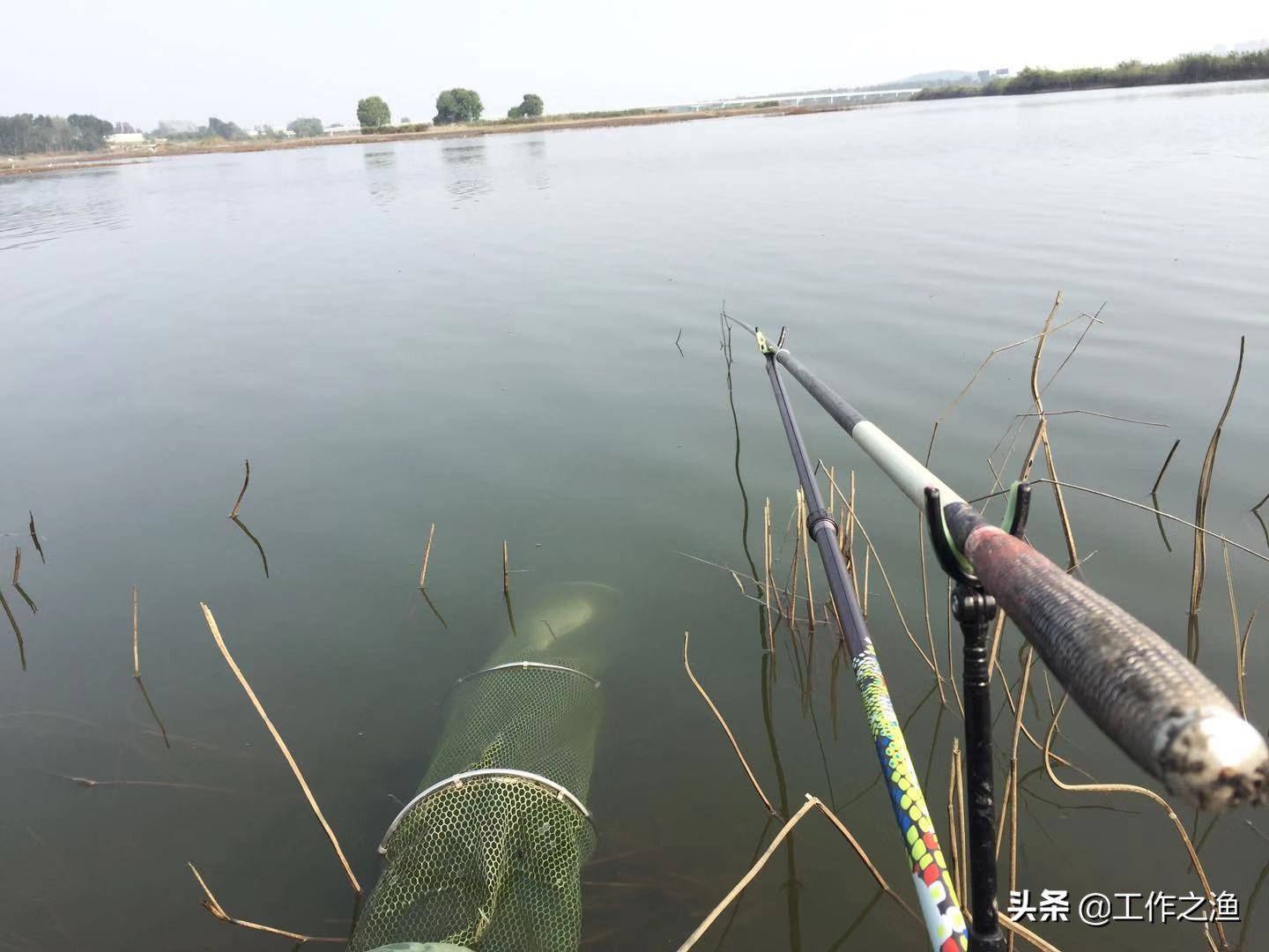 新手钓友如何正确理解鱼竿,新手钓鱼用哪几款鱼竿最好