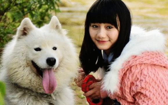 女生真的更喜欢大型犬吗,大型犬为什么会咬人