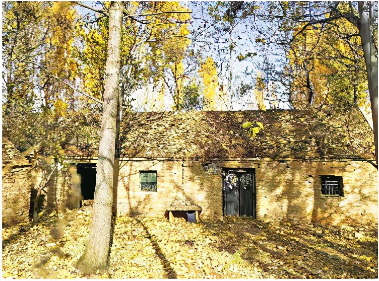 七里店往事,秦利虎