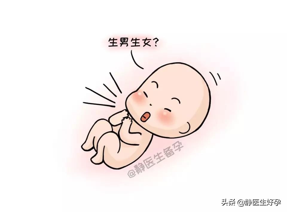 备孕酸碱体质,备孕中医调理体质