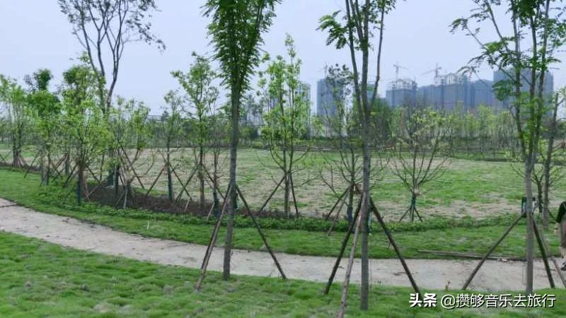 彭山竹韵廊公园,彭山竹韵廊在什么地方