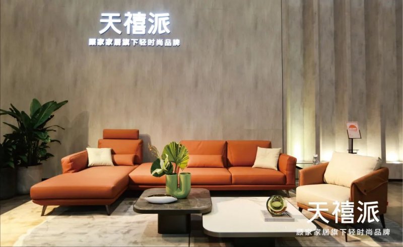 顾家家居a股,顾家家居怎么样加盟