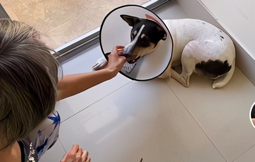 2000元人民币能在泰国养老吗,退休金10000在泰国怎么养老