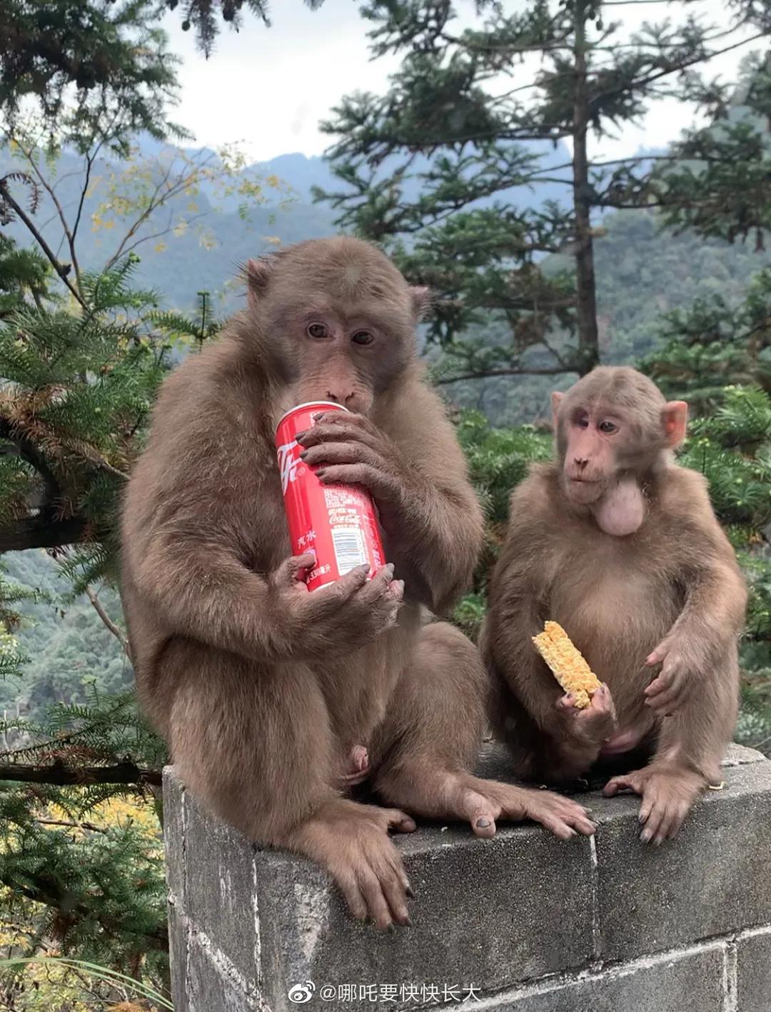 九华山风景图片高清美图,九华山拍照写真