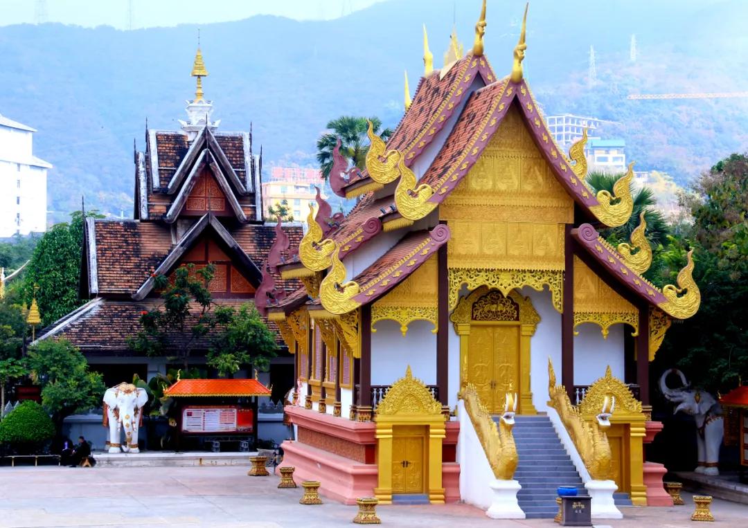 泰国西双版纳旅行,西双版纳基诺山热带雨林徒步