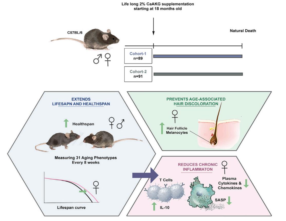 世界6大膳食营养补充剂,膳食补充剂真的有效吗