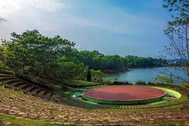 深圳花海公园推荐景点有哪些,深圳花海公园地址在哪里