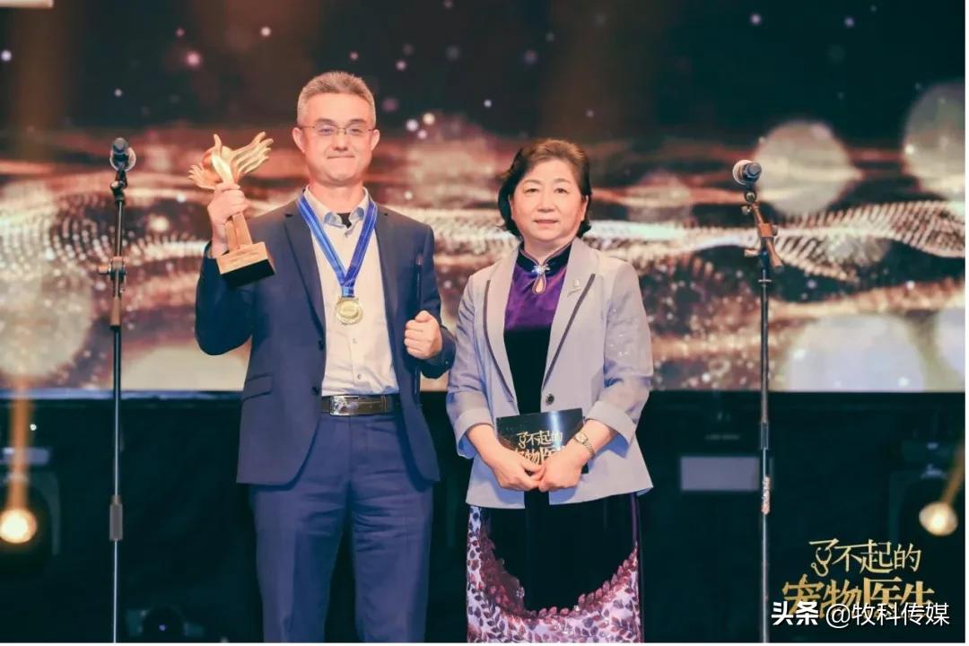 初心如磐笃行致远中国人寿,初心如磐笃行致远军训落幕篇