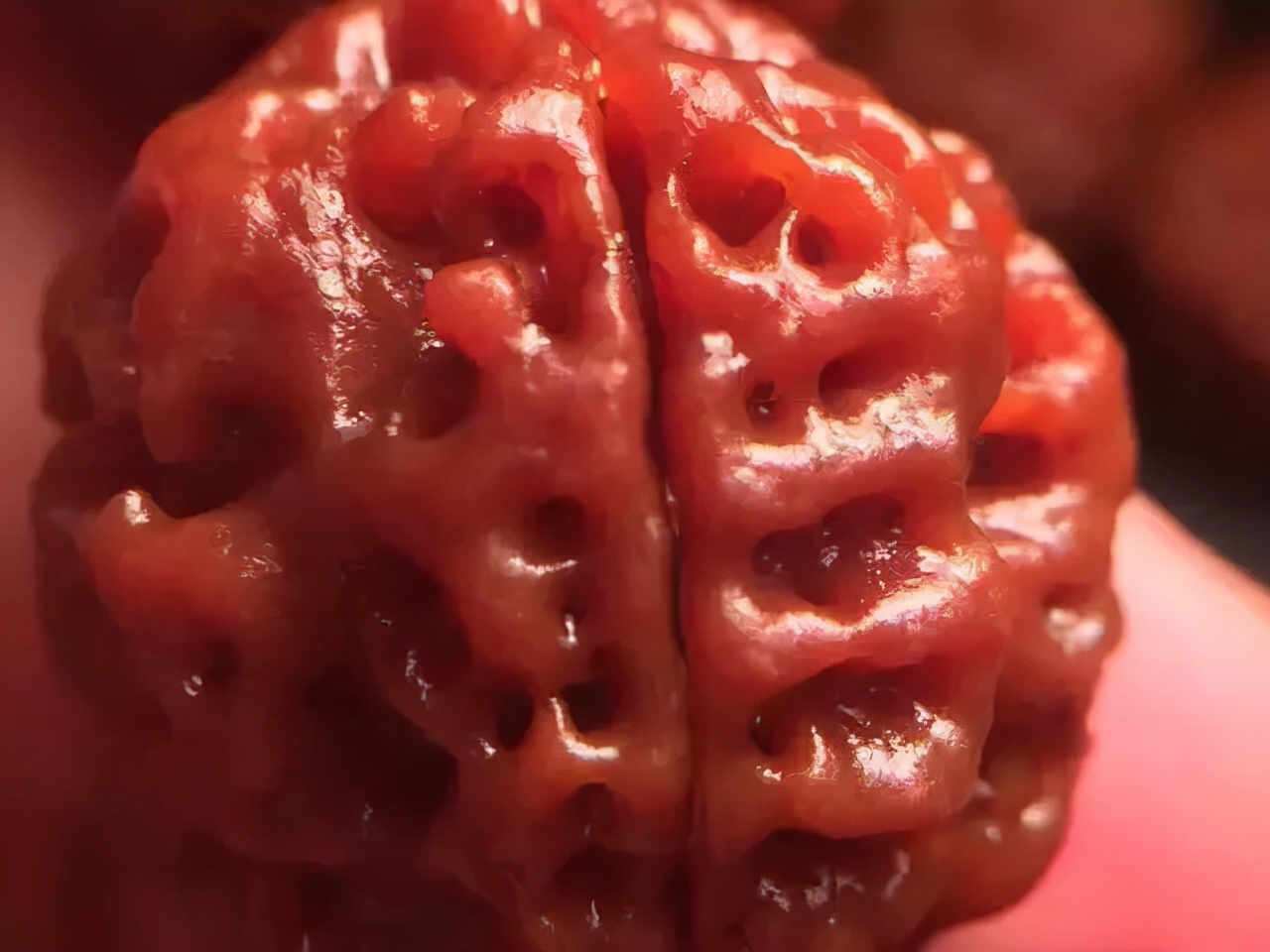 什么是金刚菩提鹰爪纹路,小金刚菩提子纹路图解大全