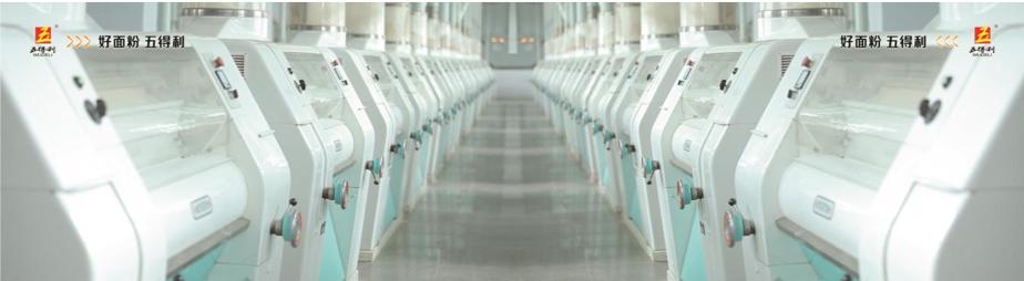五得利面粉产能,青岛五得利面粉产能