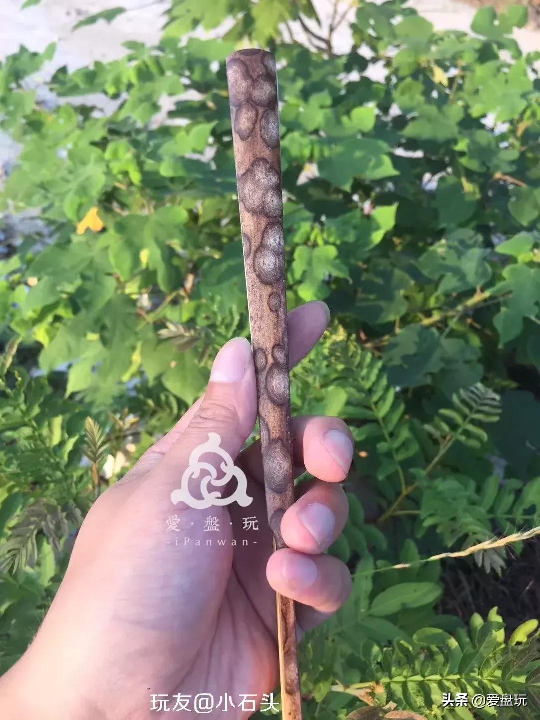 20元和2000元一把的折扇，到底有什么区别？