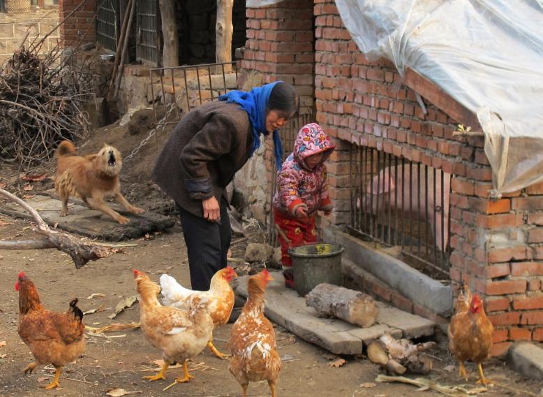 湖南第一悍匪张君真实抓捕现场,湖南第一悍匪张君抢了多少