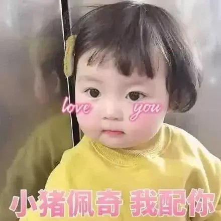 姐妹情深小猪佩奇表情包,无法自拔表情包小猪佩奇