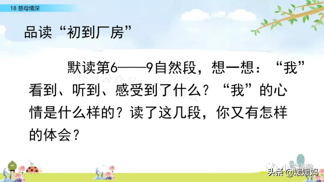 五年级上册练习册第18课慈母情深,五年级第18课慈母情深课文结构图