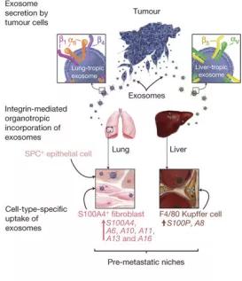 特洛伊木马计告诉我们什么道理,特洛伊木马计讲的是什么故事