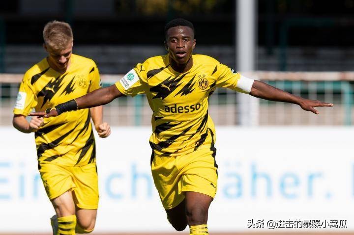 多特引进哈兰德,多特晋级哈兰德