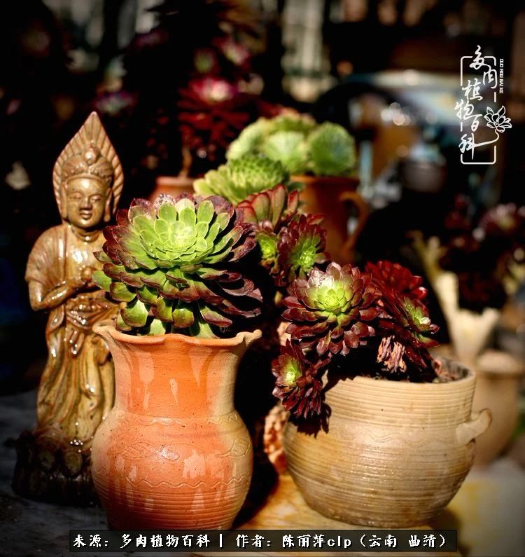 佛系看风景的地方,佛系风景空境视频