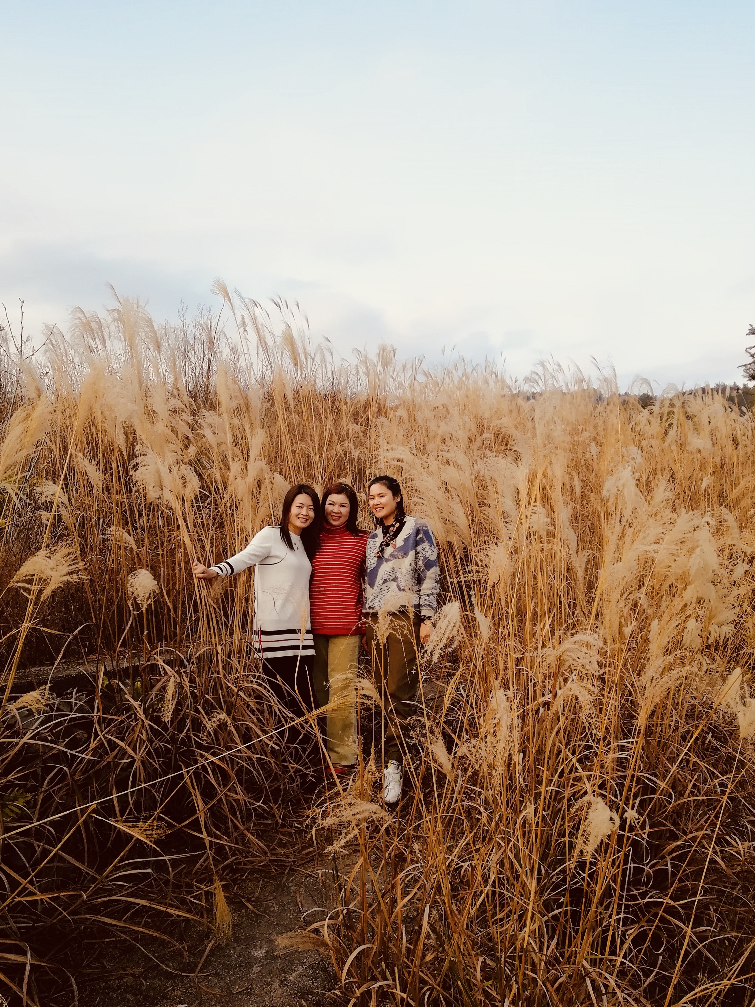 泰顺摄影天堂图片,泰顺风光摄影