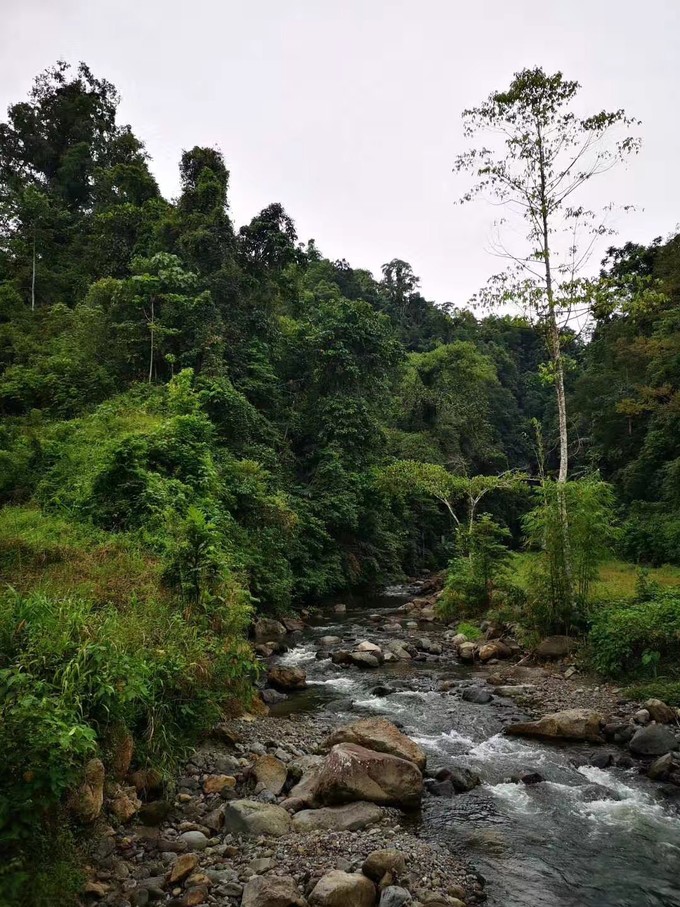 岛民旅游攻略,美娜多旅游详细攻略