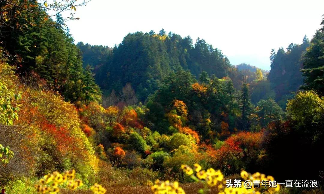 甘肃定西夏天,到定西过一个只有22度的夏天