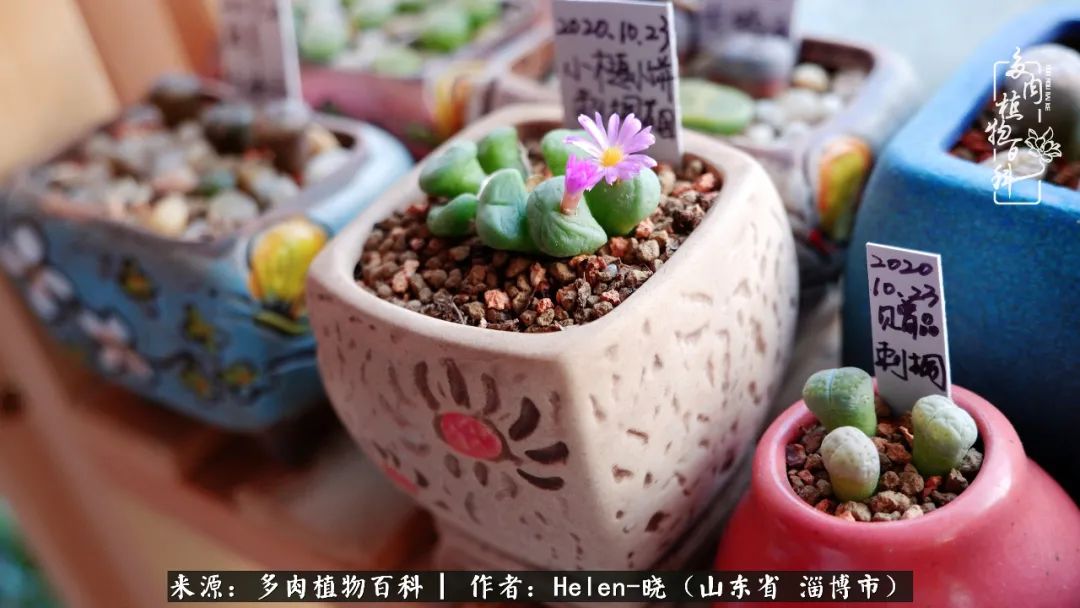 人到中年温暖如初,人到中年岁月静好