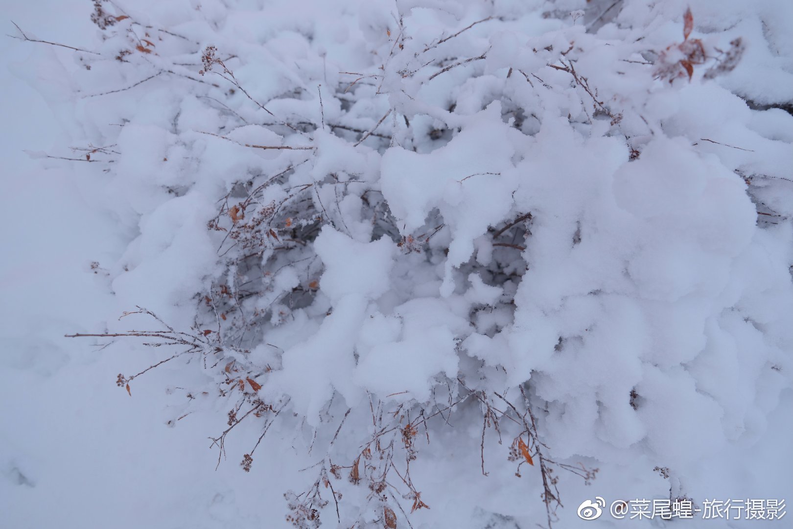 贝尔格莱德旅游免签,东欧冬天旅游攻略