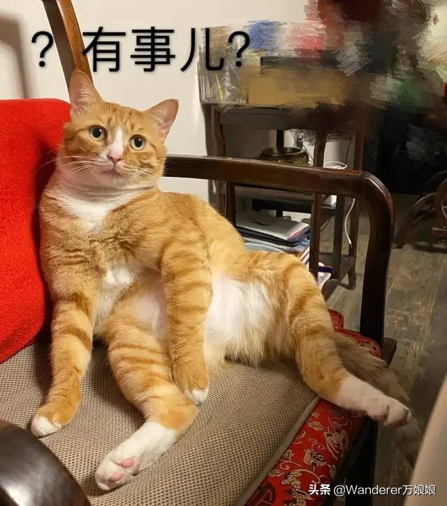 哈哈哈哈哈哈我笑到我妈把鞋塞我嘴里