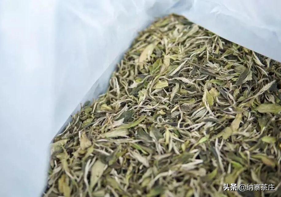 寿眉为什么越喝越好看,低等级的寿眉怎么喝