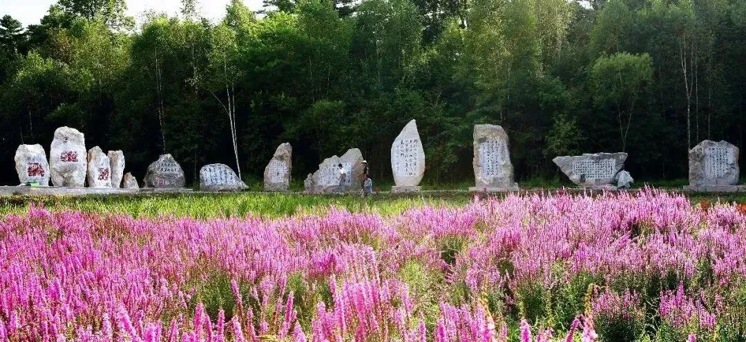 五一旅游如何去长白山,白山市4天旅游攻略