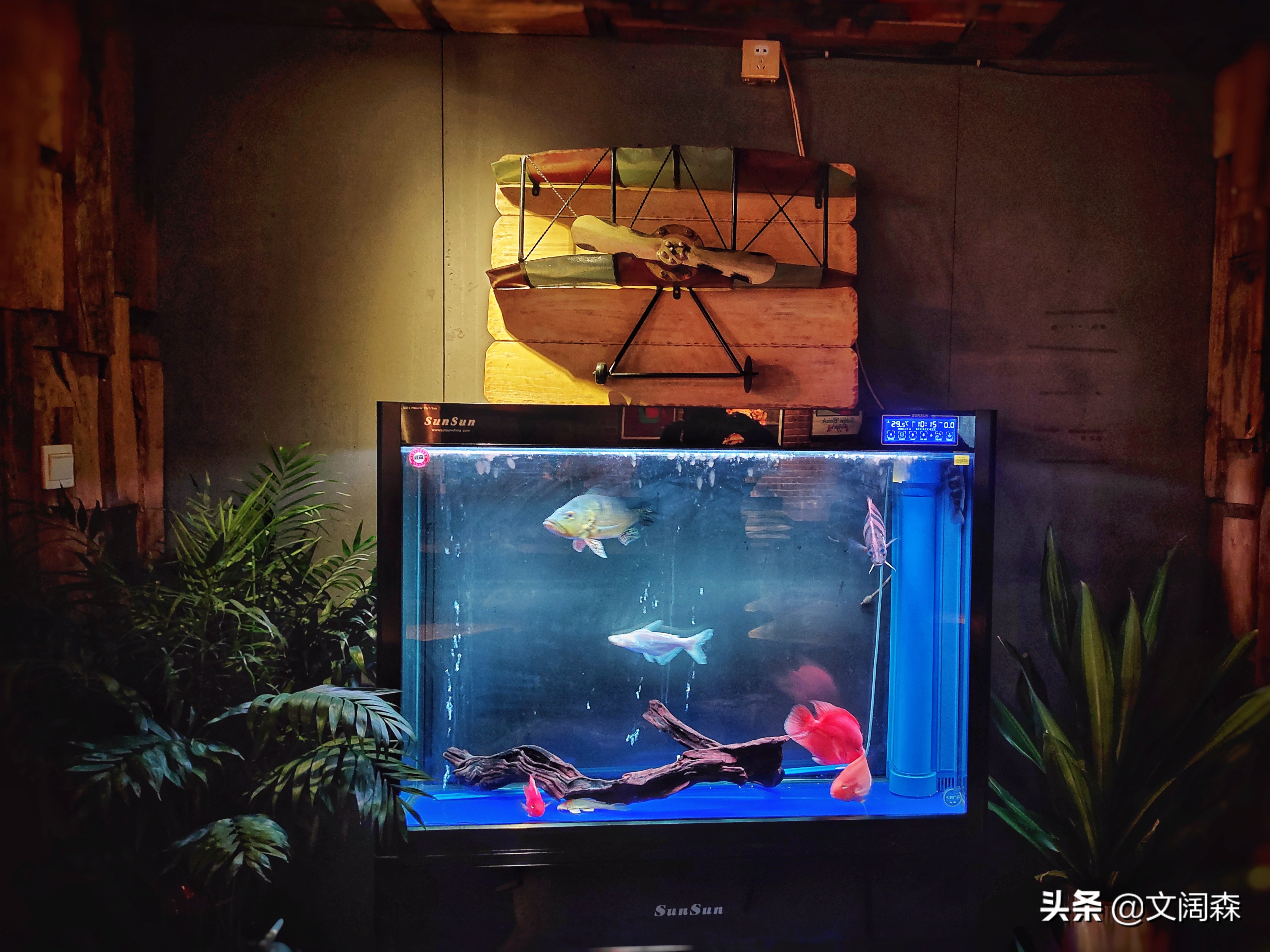 柳州餐厅五星,柳州经济实惠有逼格的餐厅