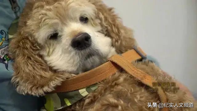 “大夫，我把房卖了，你能治好我的猫吗？”