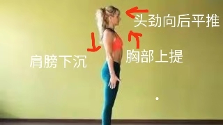 瑜伽教练初级训练动作视频,瑜伽教培班108个入门体式