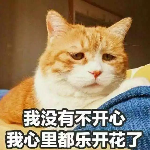 该如何拯救你，被卡的小脚……