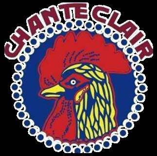 意大利大公鸡家庭清洁3件套,意大利进口大公鸡管家液态洗衣皂