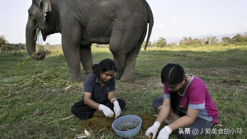 为什么猫屎咖啡好喝,猫屎那么臭怎么有人愿意养猫