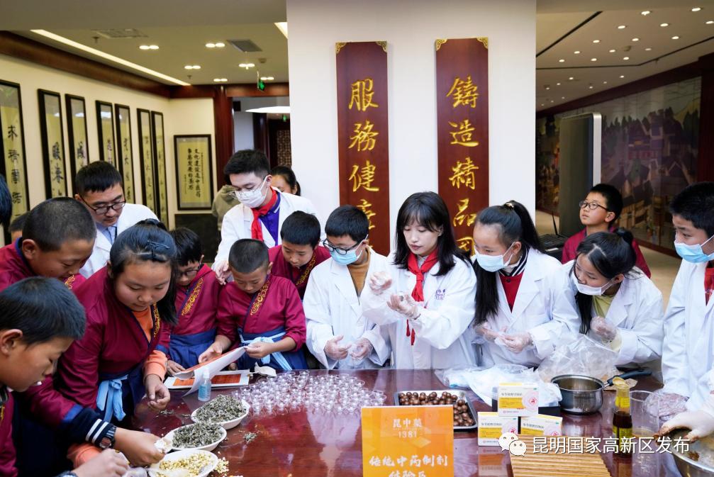 昆中药药厂简介,昆中药简介