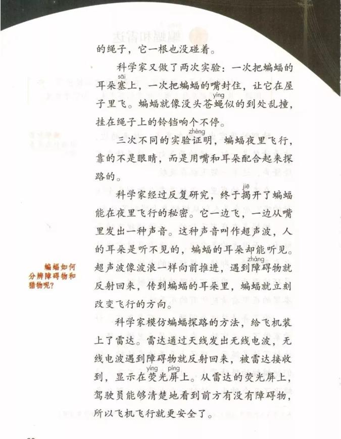 部编版四年级下第六单元教材解读,部编版蝙蝠和雷达课文原文