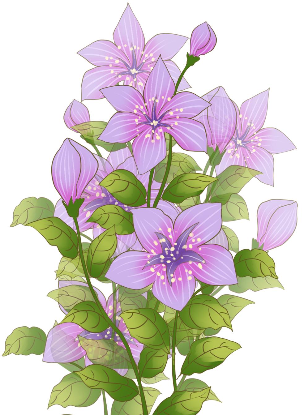 桔子和橘子到底哪个是橘子,桔子和橘子为什么有两种说法