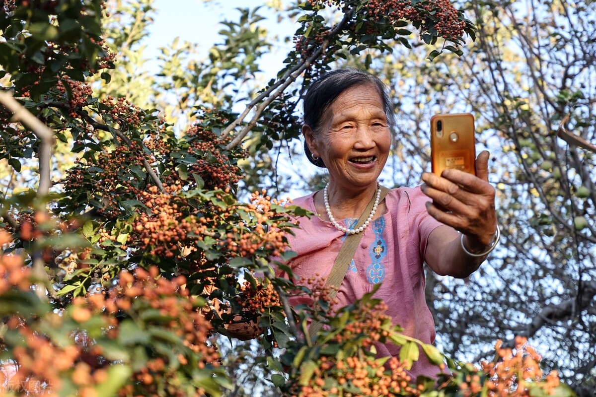 社区养老服务新模式,老年人社区照护的主要内容