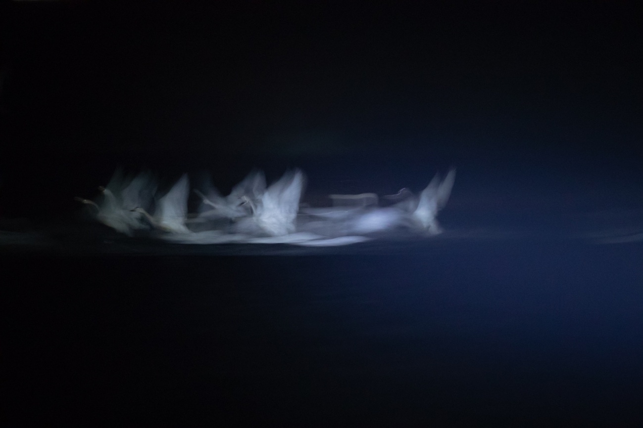 用镜头捕捉瞬间用光影记录感动,用镜头记录人生用心灵感悟美好