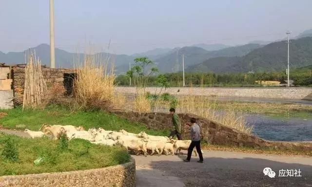 宁波踏青好去处自驾,宁波周边免费踏青爬山