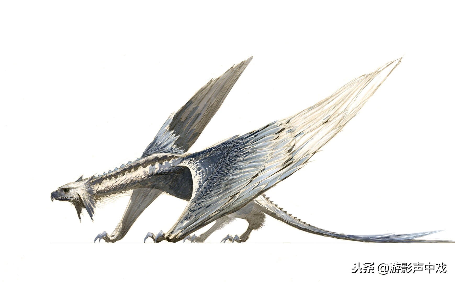 德玛西亚之翼打什么位置,德玛西亚之翼怎么玩