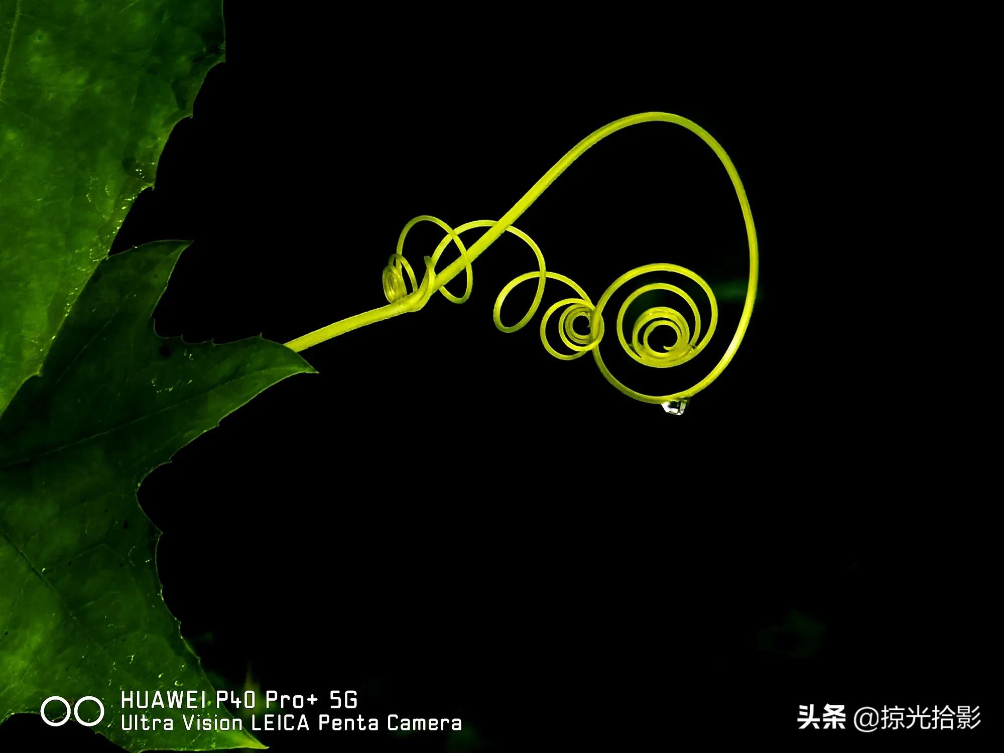 手机摄影为什么比相机酷,手机摄影与单反摄影