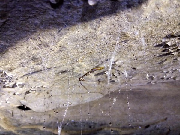 16岁留美高中生回国科考，变身“老鼠人”下悬崖探8000米洞穴