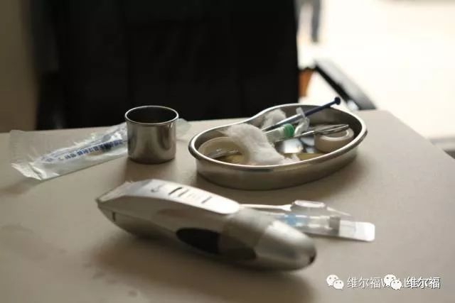 请用绝育保护它——宠物营养师亲身讲述自家爱犬绝育经历