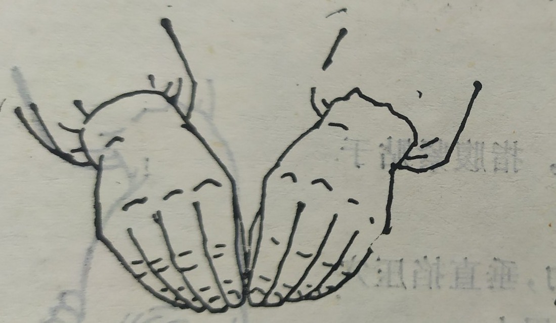 零基础学习中医按摩,零基础学中医按摩