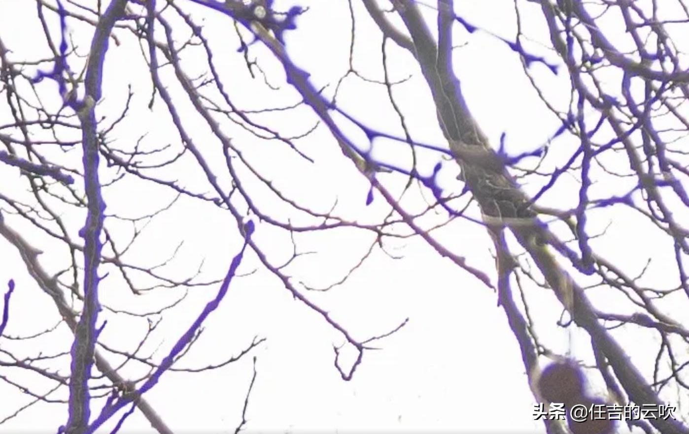 适马28-70畸变在索尼能校正吗,适马28-70如何解决畸变