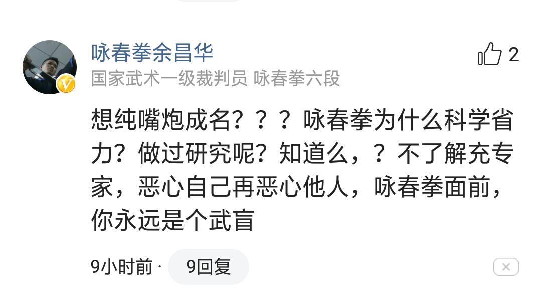 甄子丹咏春对咏春,甄子丹的咏春拳有多厉害